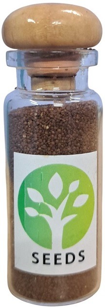 DOAqua Glossostigma Elatinoides Seeds