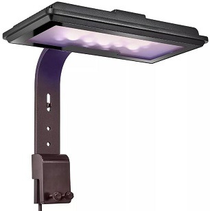 Maxspect MJ L130 Refugium