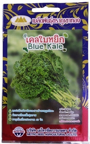 Metro Seeds Blue Kale Gardening Seeds