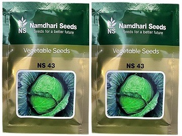 Namdhari NS 43 F1 Hybrid Cabbage Seeds
