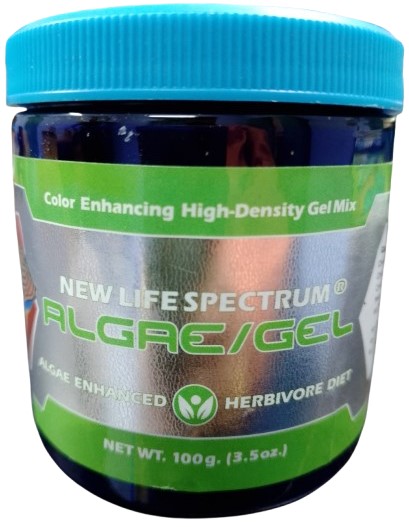 Algae Gel