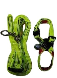 Nylon Collar And Leash Set