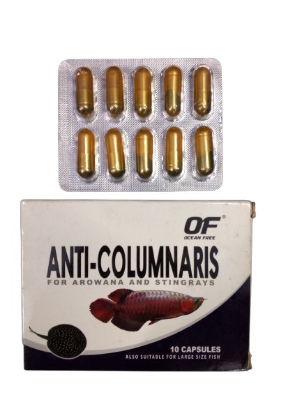 Anti Columnaris