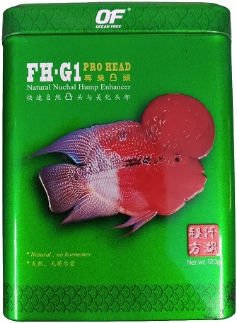 Ocean Free Fh G1 Pro Head
