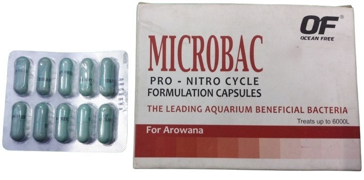 Ocean Free Microbac Arowana