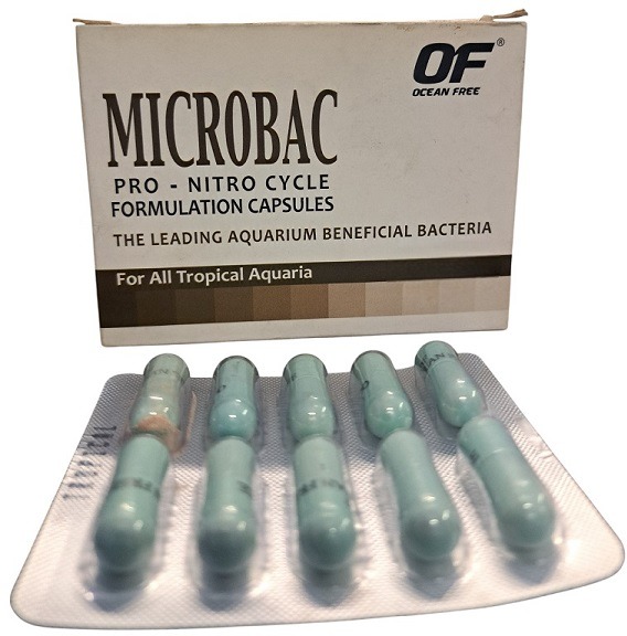 Ocean Free Tropical Aquaria