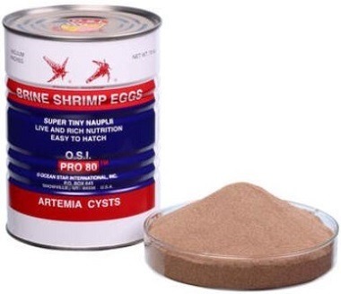Osi Pure Artemia Eggs