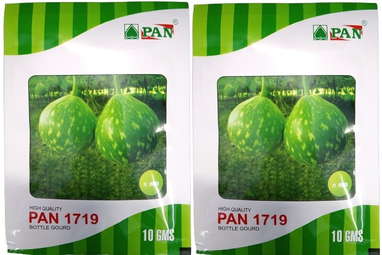 Pan 1719 Bottle Gourd F1 Hybrid Seeds