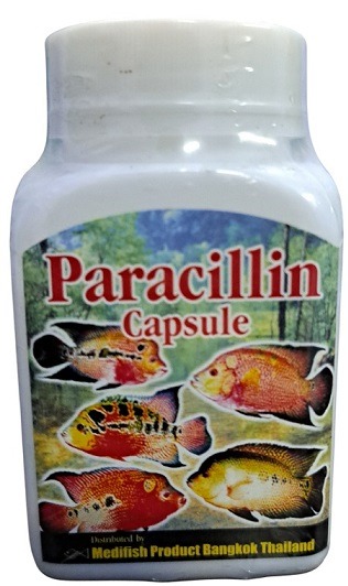 Medifish Paracillin 250mg Capsule