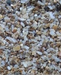 Premium Seashells Granules