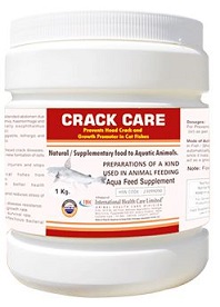 Pvs Crack Care
