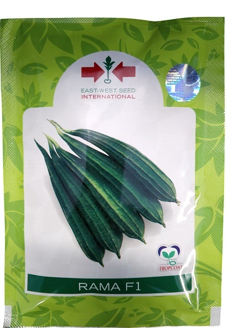 East West Rama F1 Ridge Gourd Hybrid Seeds