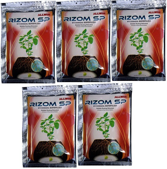 Rizom Sp Mycorrhizal Biofertilizer