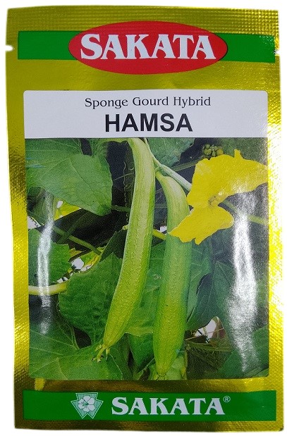 Sakata Hamsa Hybrid Sponge Gourd Seeds