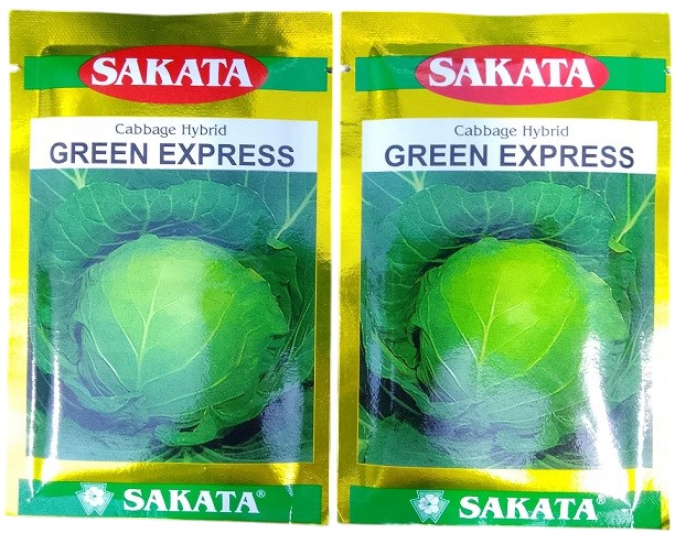 Sakata Japan Green Express Cabbage Vegetable Seeds