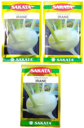Sakata Japan Irane Kohlrabi Hybrid Seeds