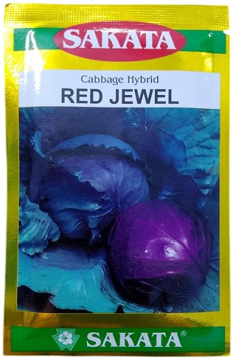 Sakata Japan Red Jewel Hybrid Cabbage Seeds