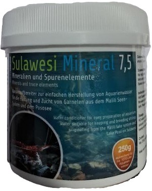 Salty Shrimp Sulawesi Mineral 7.5