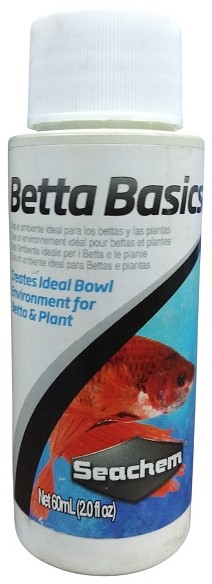 Betta Basics