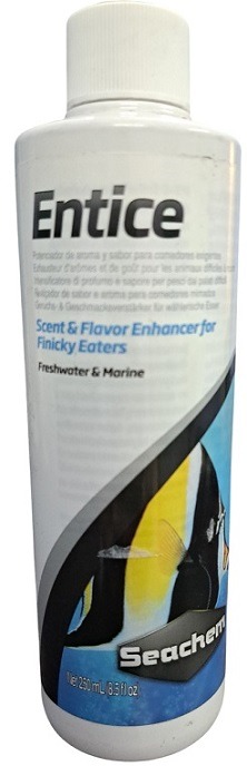 Entice