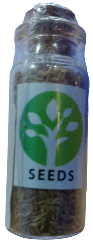 DOAqua Dwarf Hairgrass Seeds