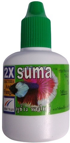 Suma Bacteria And Fungi