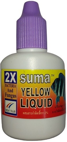 Suma Bacteria And Fungus