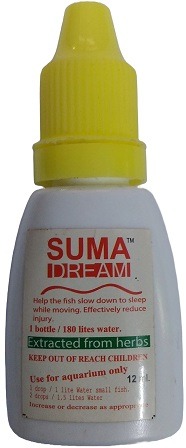 Suma Dream