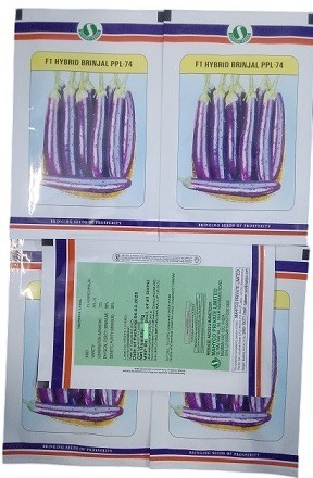 Sungro Seeds F1 PPL 74 Hybrid Brinjal Seeds