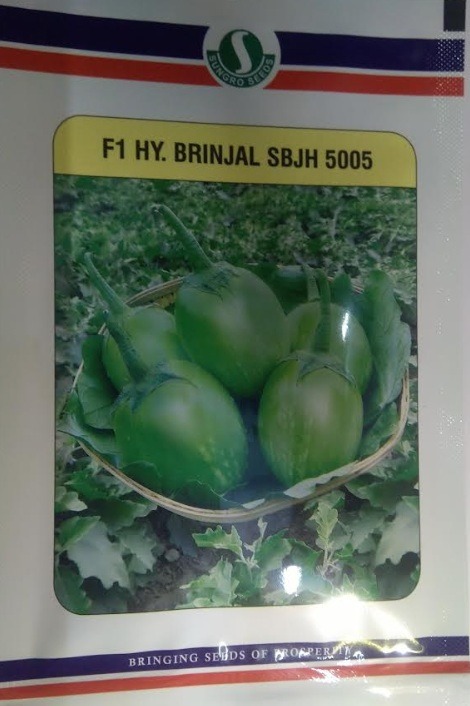Sungro Seeds F1 Sbjh 5005 Hybrid Brinjal Seeds