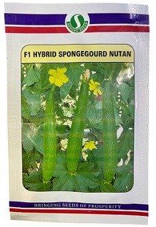 Sungro Seeds Nutan F1 Hybrid Sponge Gourd Seeds