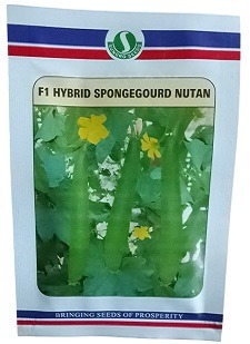 Sungro Seeds Nutan F1 Hybrid Sponge Gourd Seeds