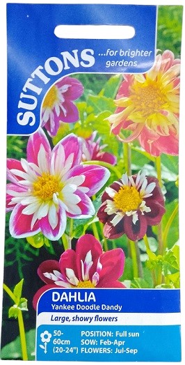 Suttons Dahlia Yankee Doodle Dandy Seeds