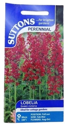 Suttons England Lobelia Queen Victoria
