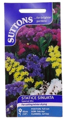 Suttons England Statice Sinuata Special mix