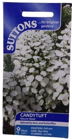 Suttons UK Candytuft Mount Hood Seeds