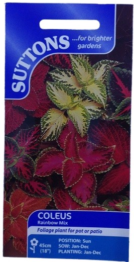 Suttons UK Coleus Rainbow Mix Seeds 
