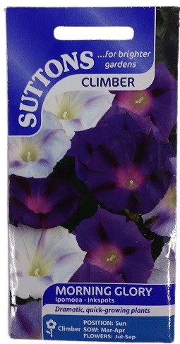 Suttons UK Morning Glory Ipomoea Inkspots Seeds