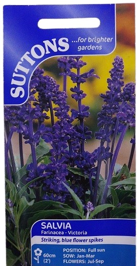 Suttons UK Salvia Farinacea Victoria Seeds