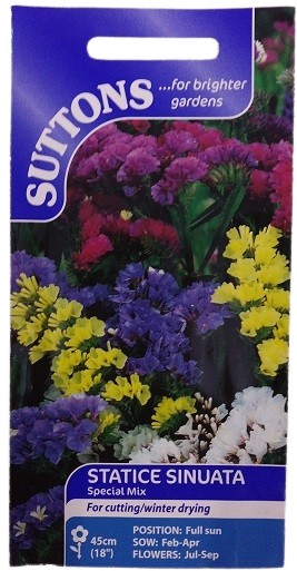 Suttons UK Statice Sinuata Special Mix Seeds