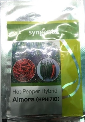 Syngenta Almora Hph 1718 Hot Pepper Hybrid Seeds
