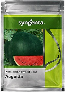 Syngenta Augusta Hybrid Watermelon Seeds