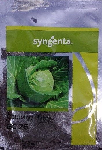 Syngenta Bc 76 Cabbage Hybrid Seed