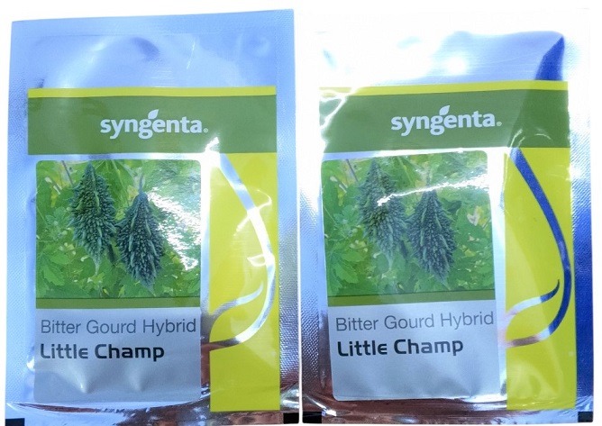 Syngenta Little Champ 20g Bittergourd Hybrid Seeds