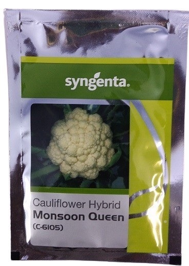 Syngenta C6105 Monsoon Queen Hybrid Cauliflower Seed