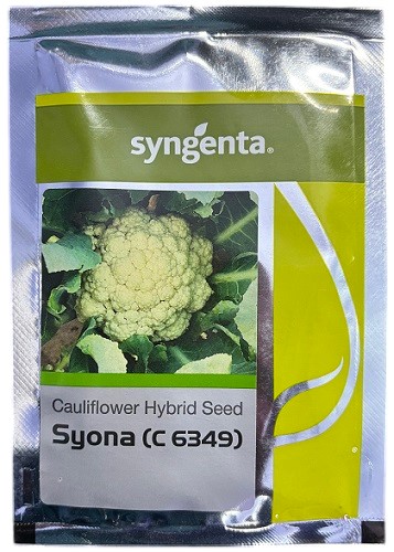 Syngenta C6349 Syona Hybrid Cauliflower Seeds