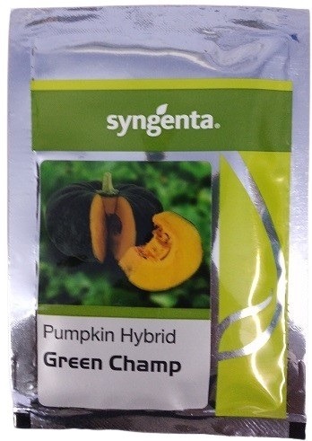 Syngenta Green Champ Pumpkin Hybrid Seed