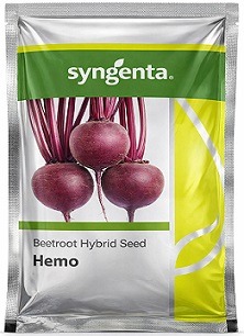 Syngenta Hemo Beetroot Hybrid Seeds