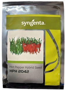 Syngenta HPH 2042 Hybrid Hot Pepper Seeds