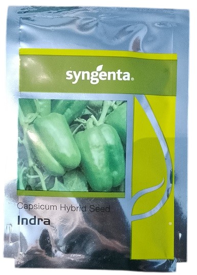 Syngenta Indra Capsicum Commercial Agriculture Seeds